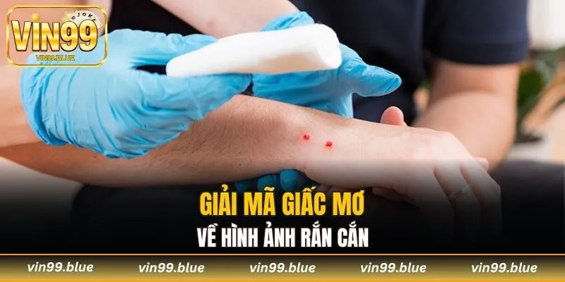 Giải mã giấc mơ về hình ảnh rắn cắn