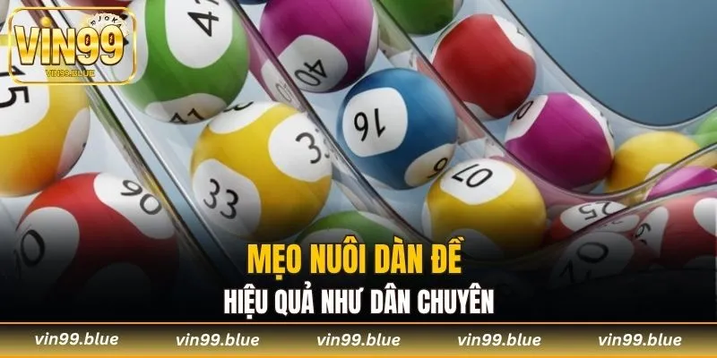 Mẹo nuôi dàn đề hiệu quả như dân chuyên