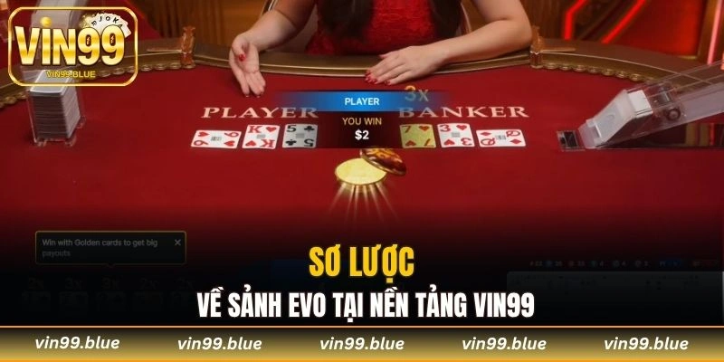 Sơ lược về sảnh Evo tại nền tảng Vin99