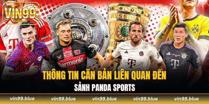 Thông tin căn bản liên quan đến sảnh Panda Sports