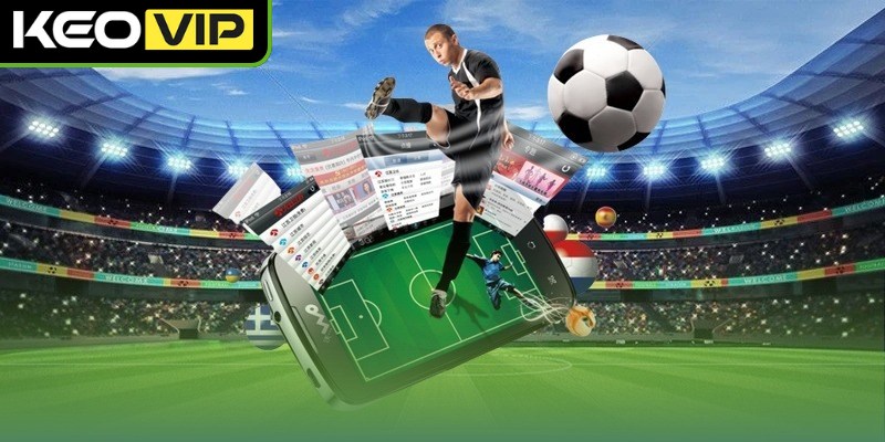 Bí quyết soi tỷ lệ kèo hiệu quả cho người mới